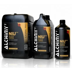 Nettoyant Intérieur Universel - NIU