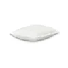 Scrubber Pad